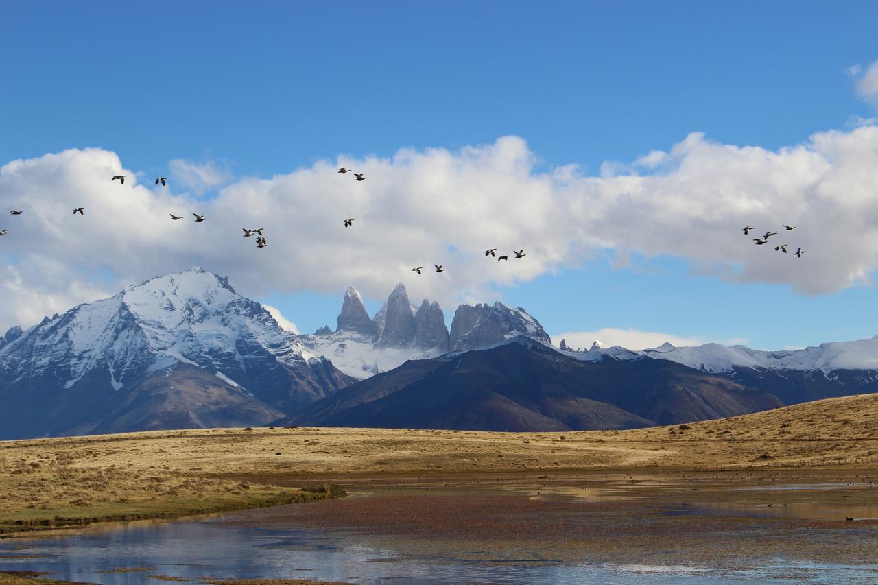 Hosteria Tercera Barranca Torres del Paine National Park Exteriör bild