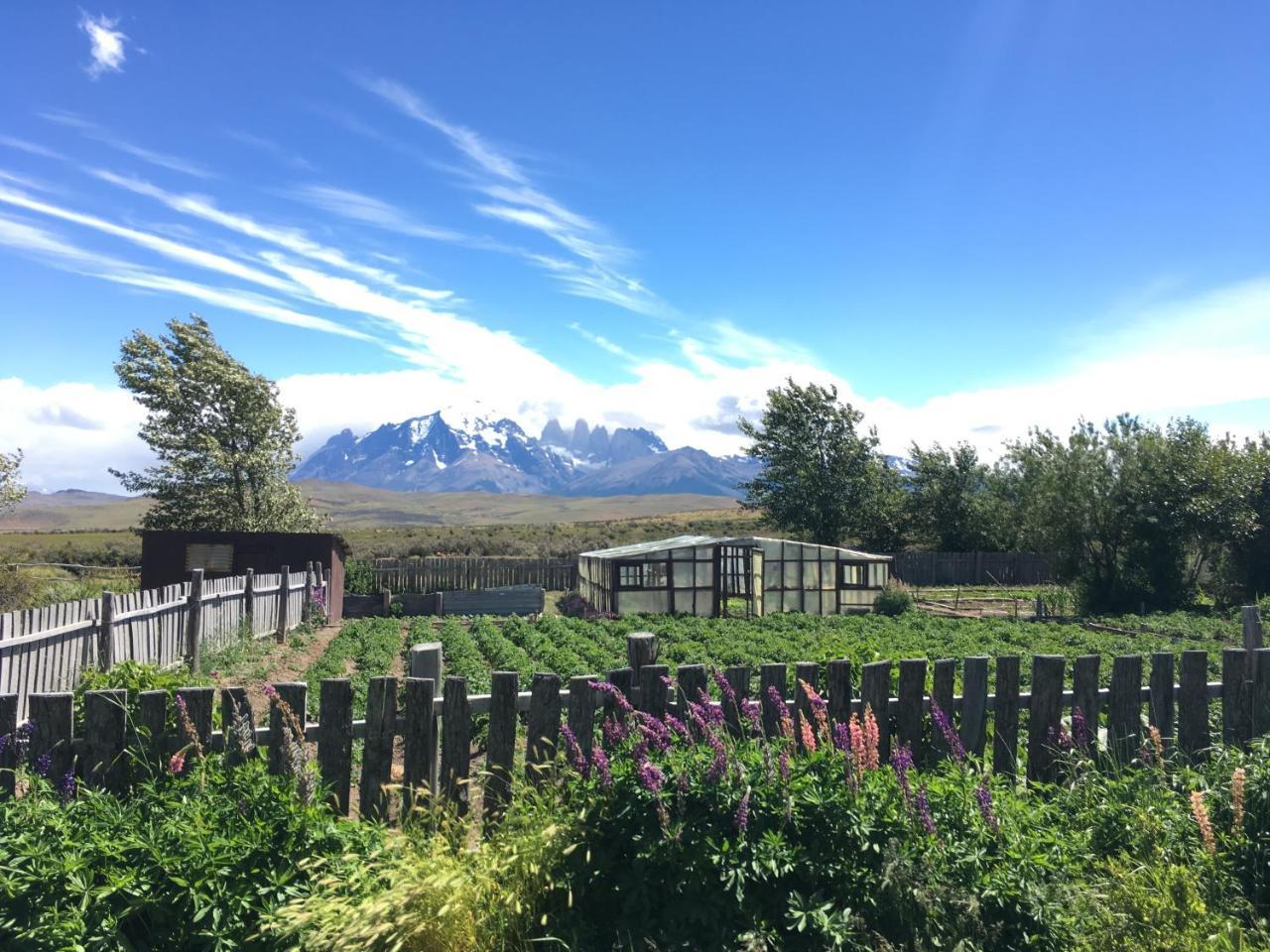 Hosteria Tercera Barranca Torres del Paine National Park Exteriör bild