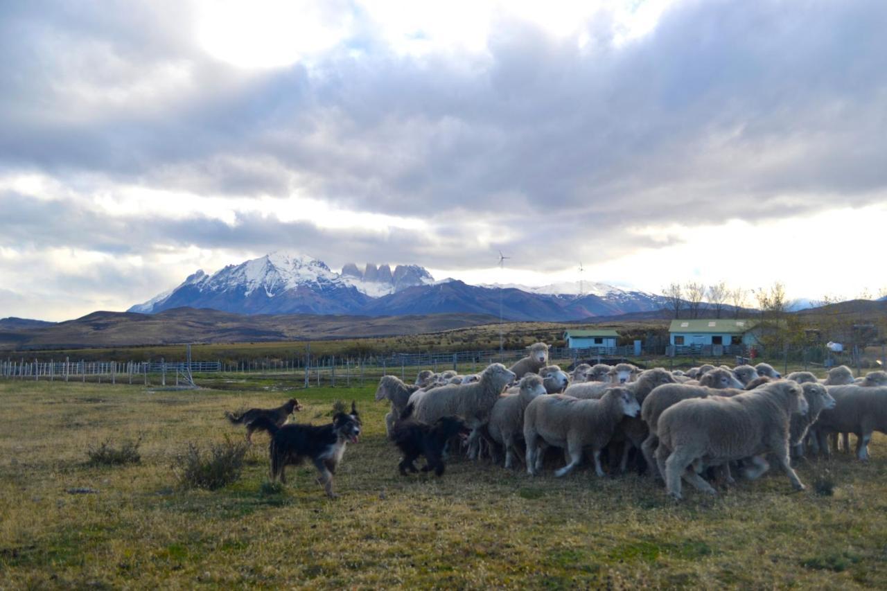 Hosteria Tercera Barranca Torres del Paine National Park Exteriör bild