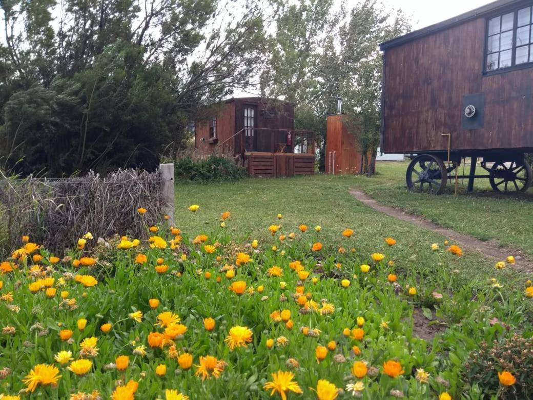 Hosteria Tercera Barranca Torres del Paine National Park Exteriör bild